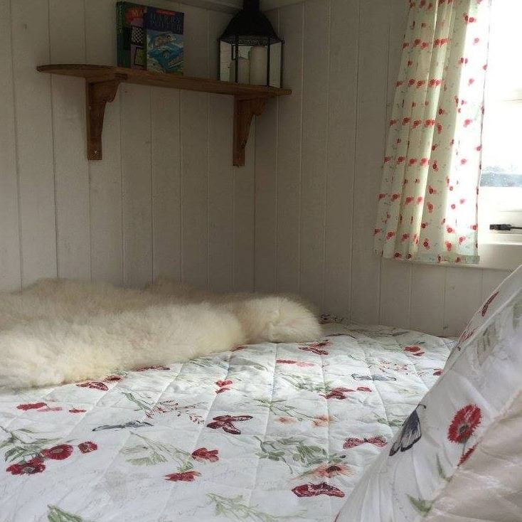 Glamping holidays in East Sussex, South East England - Bluecaps Farm Glamping