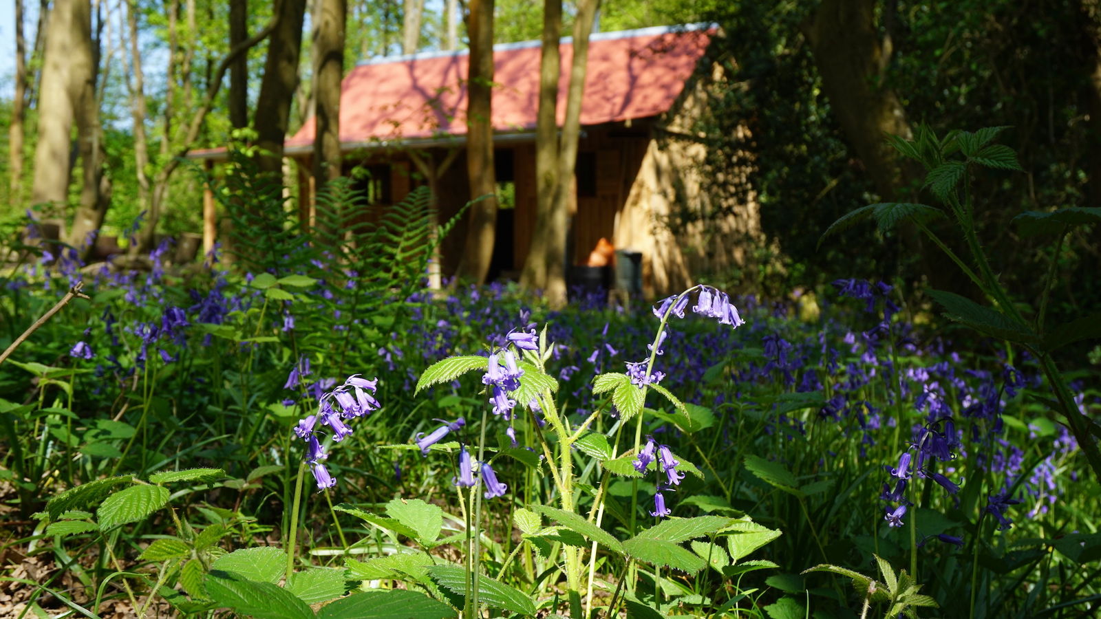 Glamping in East Sussex, South East England Forest Garden Shovelstrode