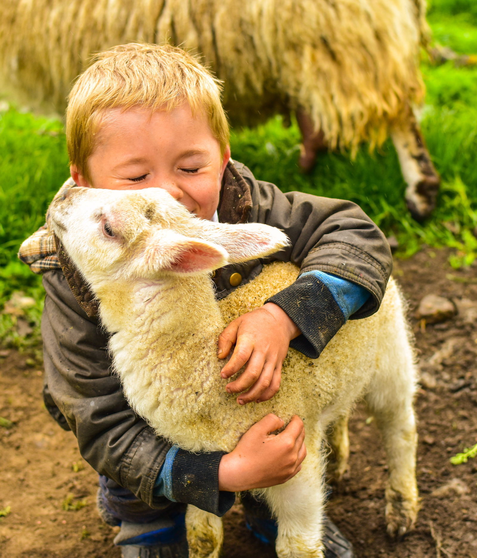 Glamping holidays near Edinburgh, Southern Scotland - Craigduckie Shepherds Huts