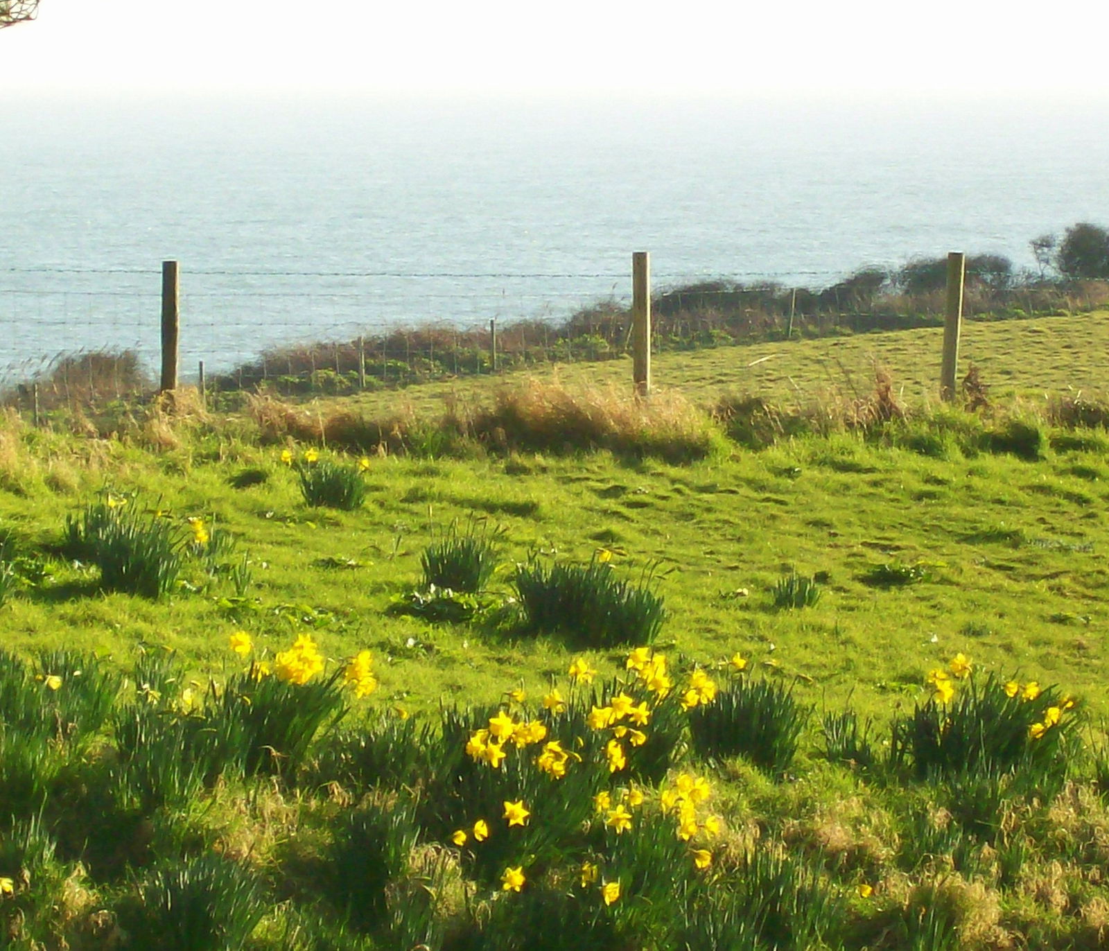 Glamping holidays in Isle of Wight, South East England - Bank End Farm