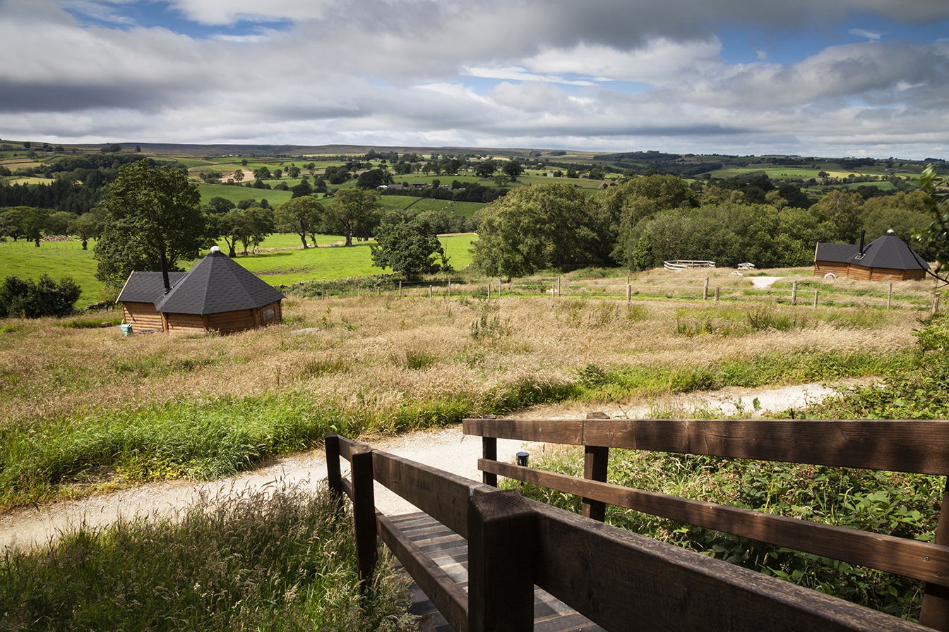 Glamping holidays in North Yorkshire, Northern England - Little Seed Field