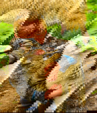 Glamping holidays near Edinburgh, Southern Scotland - Craigduckie Shepherds Huts