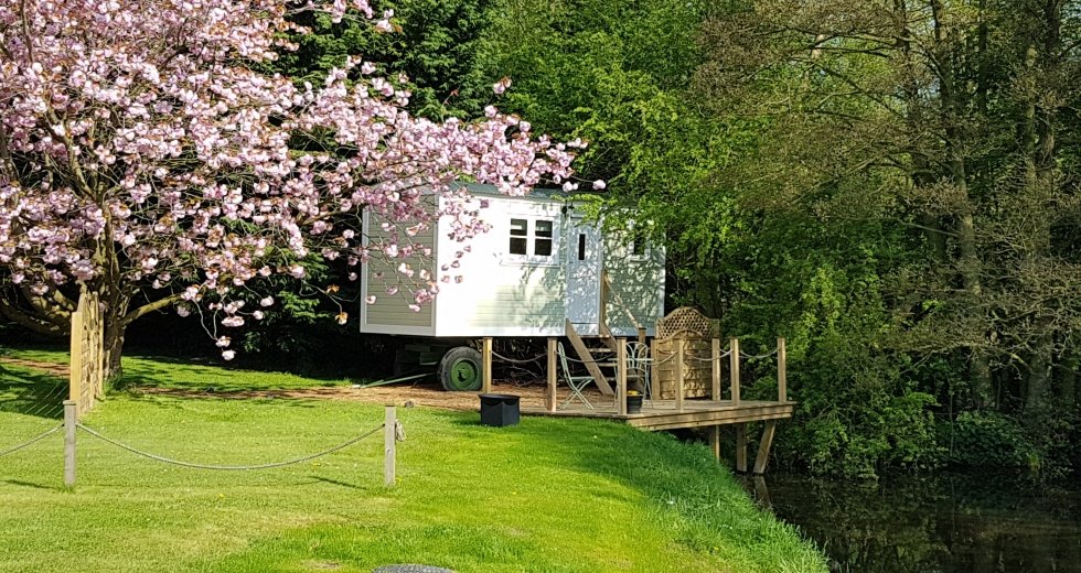 Glamping holidays in North Yorkshire, Northern England - Waterside Shepherds Hut