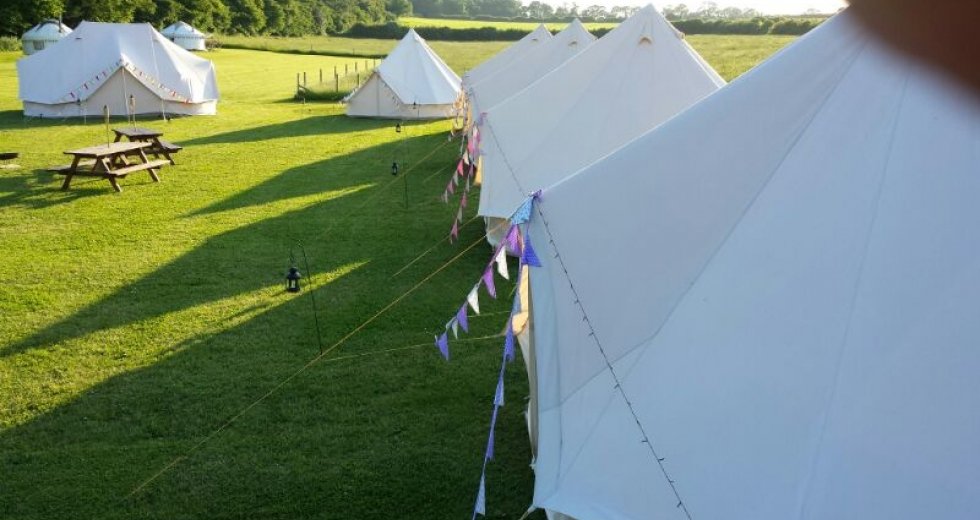 Glamping holidays in Dorset, South West England - Home Farm Camping