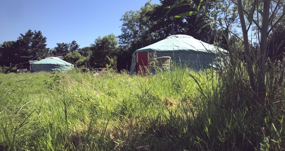 Glamping holidays in Somerset, South West England - Somerset Yurts