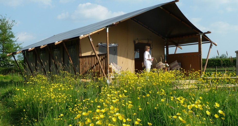 Glamping holidays in Somerset, South West England - Tall Trees Glamping