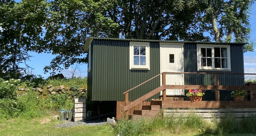 Glamping holidays in Dumfries & Galloway, Southern Scotland - Carraig Shepherds Hut