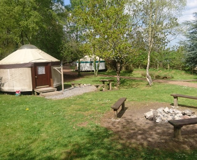 Glamping holidays in South Devon, South West England - Yurtcamp