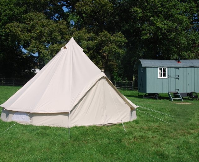 Glamping holidays in East Sussex, South East England - Molly Dishwasher