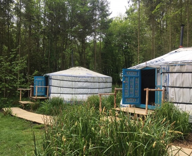 Glamping holidays in East Sussex, South East England - Barefoot Yurts