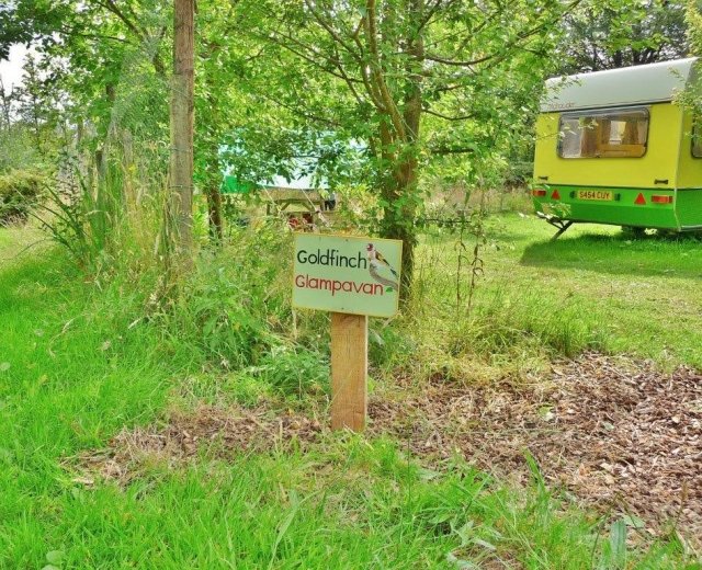 Glamping holidays in Ceredigion, West Wales - Orchid Meadows