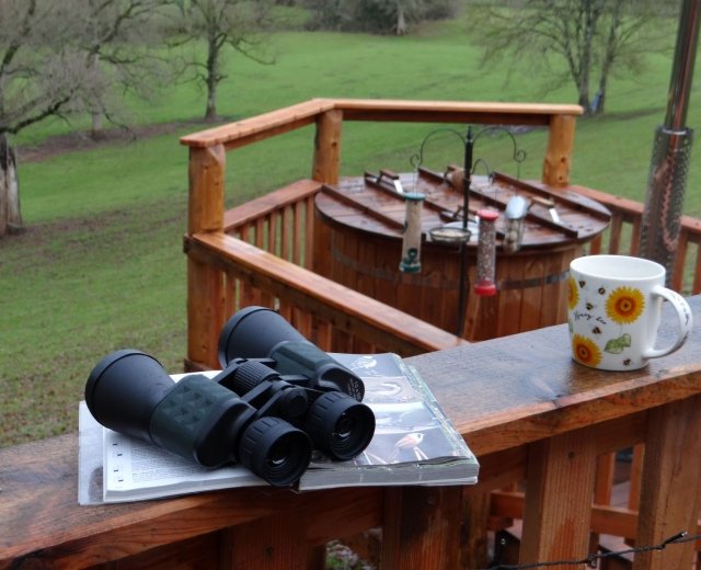 Glamping holidays in Devon, South West England - Holly Water Holidays