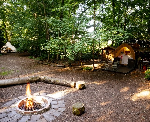Glamping holidays in Hampshire, South East England - Hollington Park Glamping