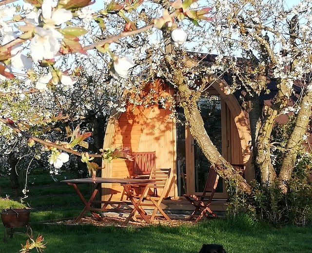 Glamping holidays in Kent, South East England - Barfield Farm Orchard Pods