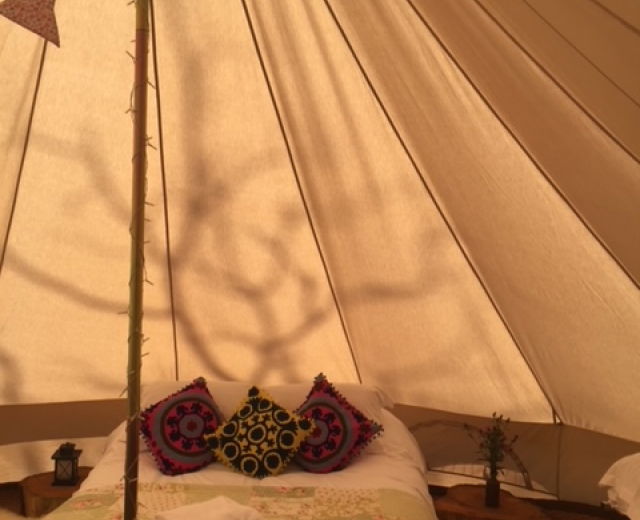 Glamping holidays in Surrey, South East England - Surrey Hills Yurts