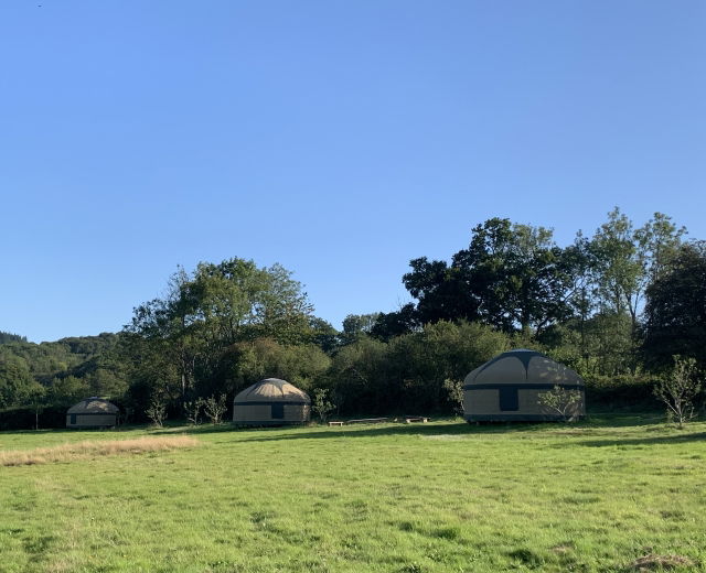 Glamping holidays in Surrey, South East England - Surrey Hills Yurts