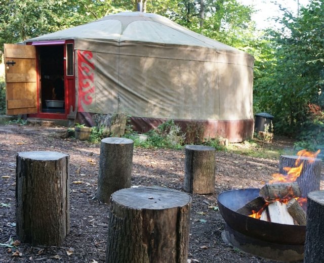 Glamping holidays in East Sussex, South East England - Forest Garden Shovelstrode