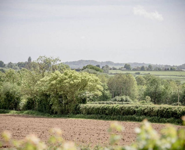 Glamping holidays in Somerset, South West England - Yeabridge Farm Hideaway
