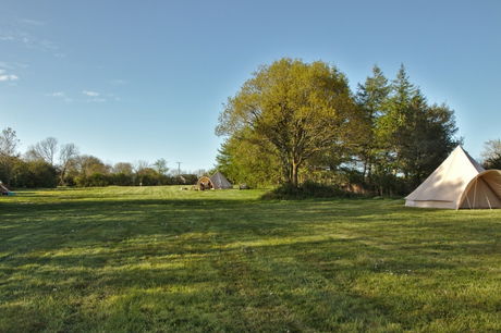 Glamping holidays in Carmarthenshire, South Wales - Firecrest Valley Glamping