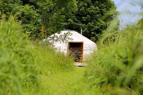 Glamping holidays in Cornwall, South West England - Tremeer Farm