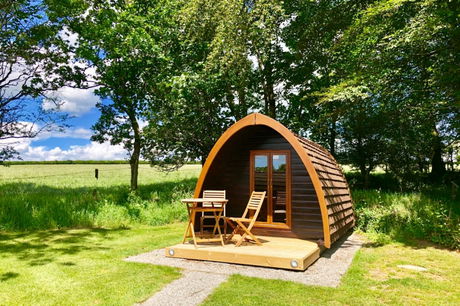Glamping holidays in Devon, South West England - Woodovis Park