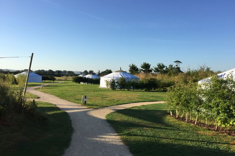 Glamping holidays in Dorset, South West England - Caalm Camp