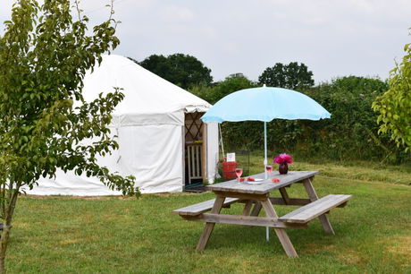 Glamping holidays in Dorset, South West England - Sockety Farm Yurts