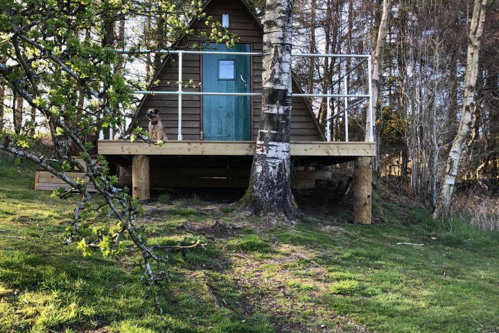 Glamping holidays in Dumfries & Galloway, Southern Scotland - Gorsebank Glamping