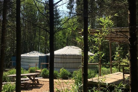 Glamping holidays in East Sussex, South East England - Barefoot Yurts