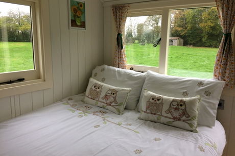 Glamping holidays in East Sussex, South East England - Bluecaps Farm Glamping