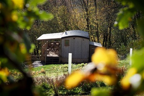 Glamping holidays in Gloucestershire, South West England - Resilient Woodlands Retreat
