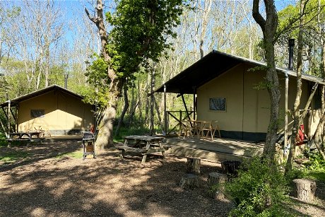 Glamping holidays in the Isle of Wight, South East England - Wight Classic Camping