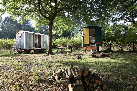 Glamping holidays in Kent, South East England - Nut Plat Retreat