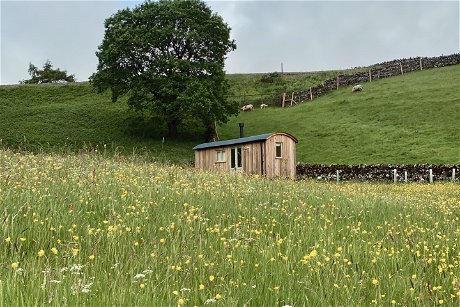 Glamping holidays near the Lake District, Cumbria, Northern England - Bullghyll Hut