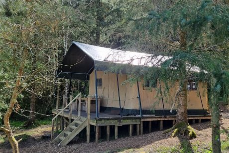 Glamping holidays in Scottish Borders, Southern Scotland - Ruberslaw Wild Woods Camping