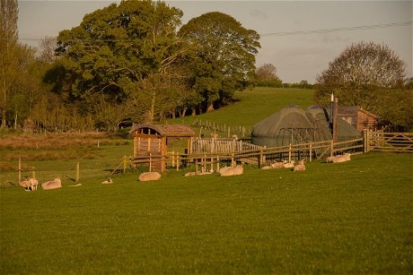 Glamping holidays in Shropshire, Central England - Fordhall Farm Yurts
