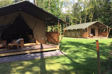 Glamping holidays in West Sussex, South East England - Worth Forest Glamping