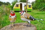 Glamping holidays in Ceredigion, West Wales - Orchid Meadows