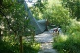 Glamping holidays in Dorset, South West England - Mallinson’s Woodland Retreat