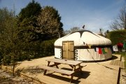 Glamping holidays in East Sussex, South East England - Dogwood Glamping