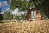 Glamping holidays in North Yorkshire, Northern England - Sedgewell Barn Wigwams